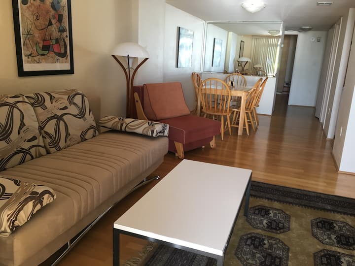 Living room and dining area