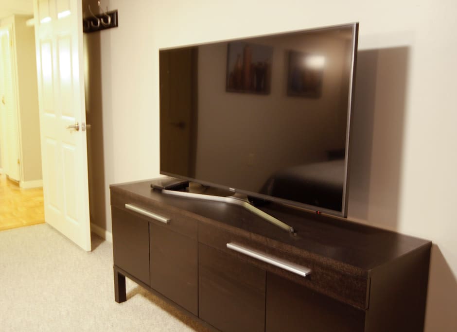 50 Inch Flat Panel in Bedroom