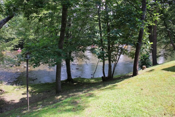Meem's Little River Nest