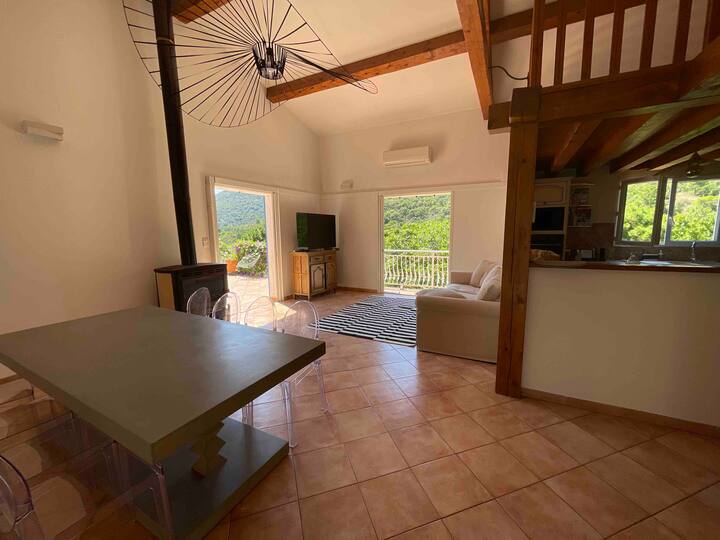 Villa Provençale Climatisée Avec Grande Piscine - Le Lavandou