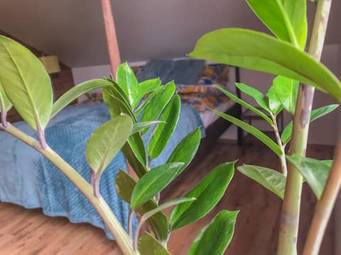 Bright room near to the river and the Old Town