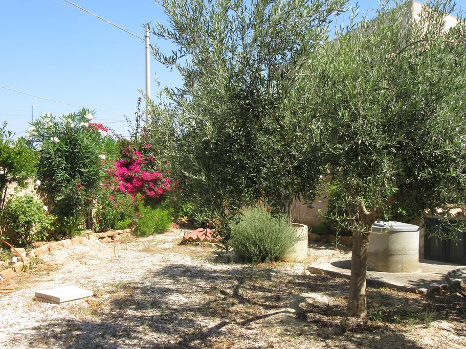 Giardino