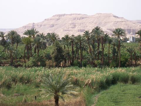 VIP Apartments Luxor - One Bedroom 4th level B