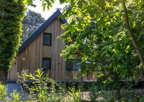 Villa Lykke in bossen Appelscha Drents Friese Wold