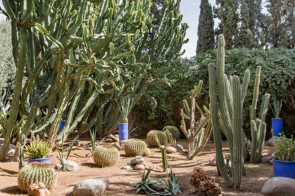 A red-brick villa in a one-hectare Marrakech garden, Marrakech, Marrakech-Safi, Morocco, photo 10 of 10