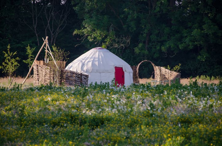Turtle Dove Yurt