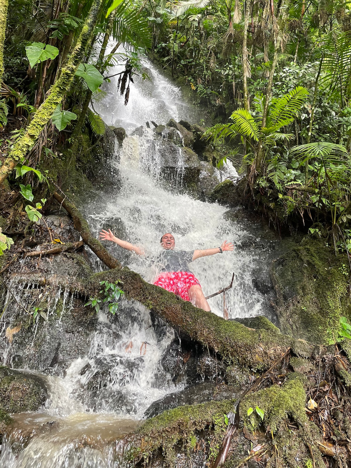 A cascading waterfall flows over rocky surfaces, surrounded by lush greenery and tropical plants. The vibrant foliage frames the scene, providing a natural backdrop. Water splashes over the rocks, creating a serene and refreshing atmosphere. The sound of flowing water can be imagined in this tranquil location.