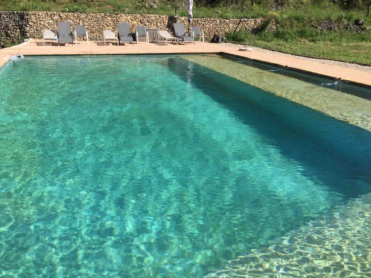 A tranquil swimming pool is surrounded by lush greenery, featuring three distinct areas for varying depths. Comfortable lounge chairs are placed along the poolside, inviting relaxation in a natural setting.