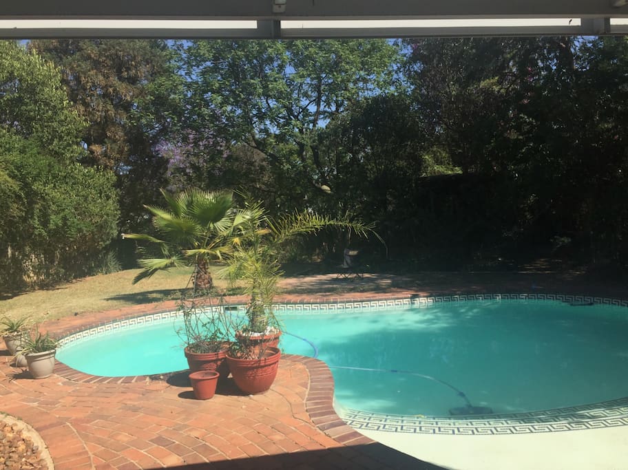 The Pool