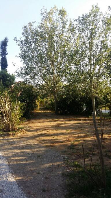 Interno Bnatural