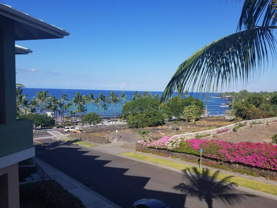 View from lanai