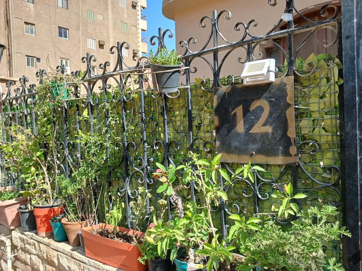 A decorative metal gate adorned with the number 12 is framed by a lush arrangement of potted plants. Various plants of different sizes and types add greenery, positioned against a vibrant backdrop. Bright sunlight enhances the scene, highlighting the textured gate and verdant foliage.