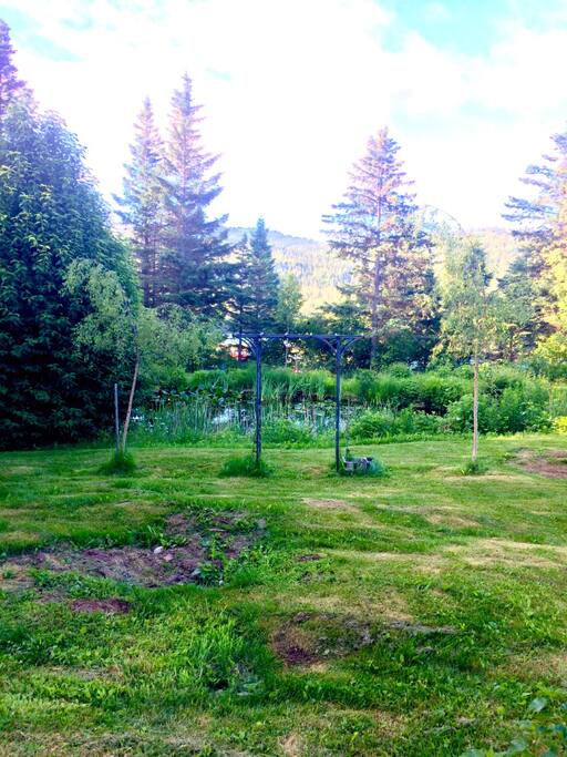 Our little pond