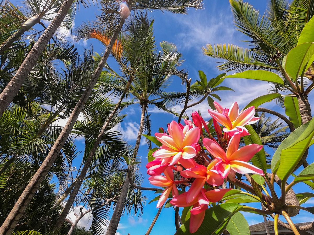 Lush tropical flora fills the foreground, showcasing vibrant pink and yellow flowers. Tall palm trees reach towards a bright blue sky, complemented by fluffy white clouds. This natural setting highlights the serene atmosphere surrounding the property.