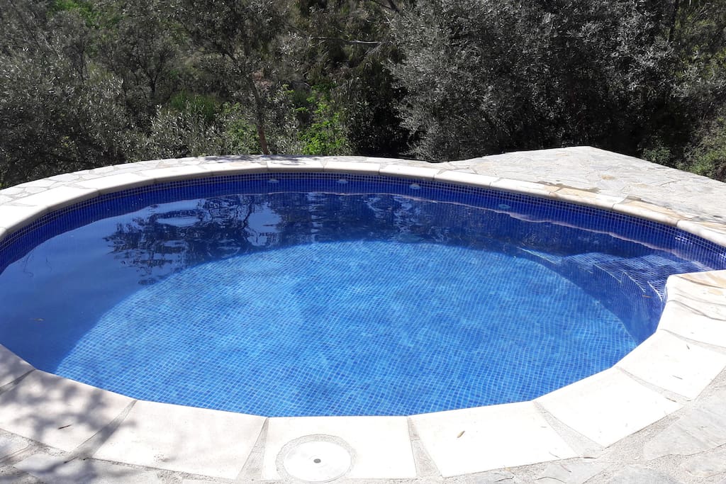 This is our brand new pool!