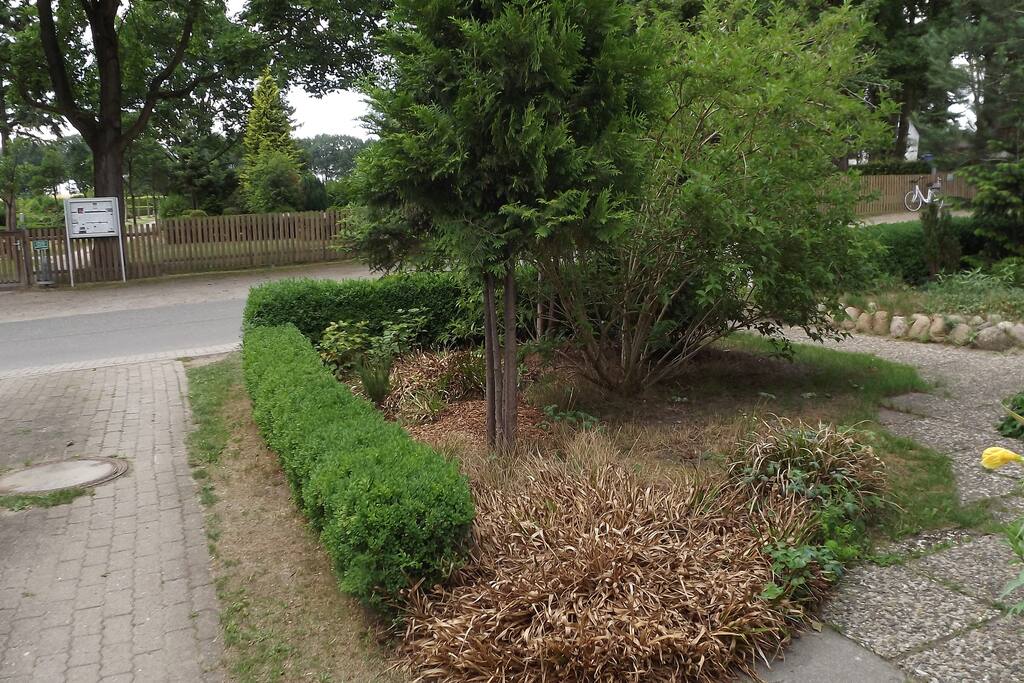 Die Auffahrt zum Innenhof von der Straße aus & Vorgarten