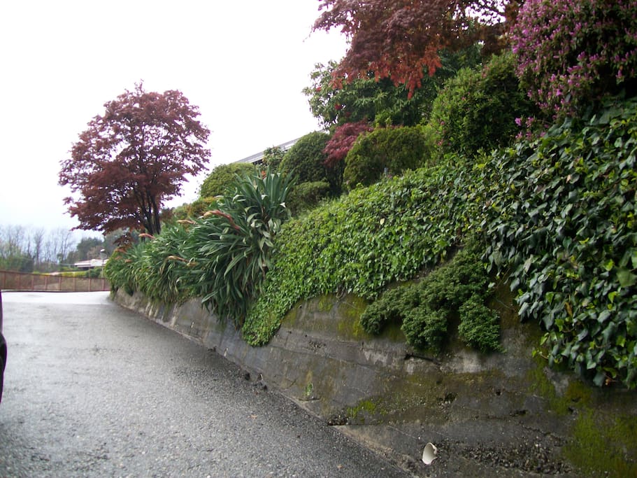 GIARDINI