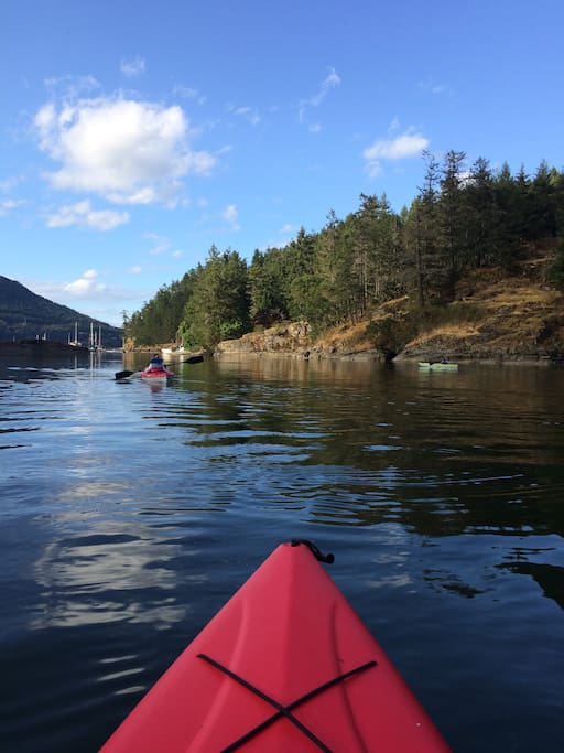 paddling on maple bay