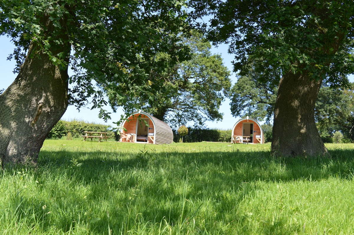 Two glamping pods are nestled among lush greenery, set in an open field with a backdrop of trees. A picnic bench is visible in the foreground, providing a tranquil outdoor space perfect for relaxation.