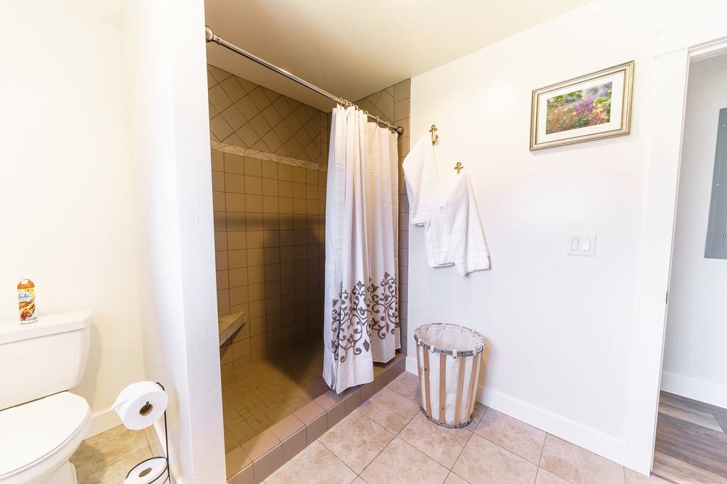 Walk in shower