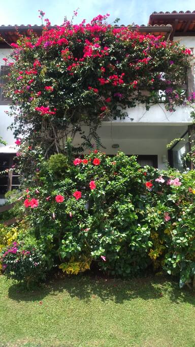 Frente da Casa
