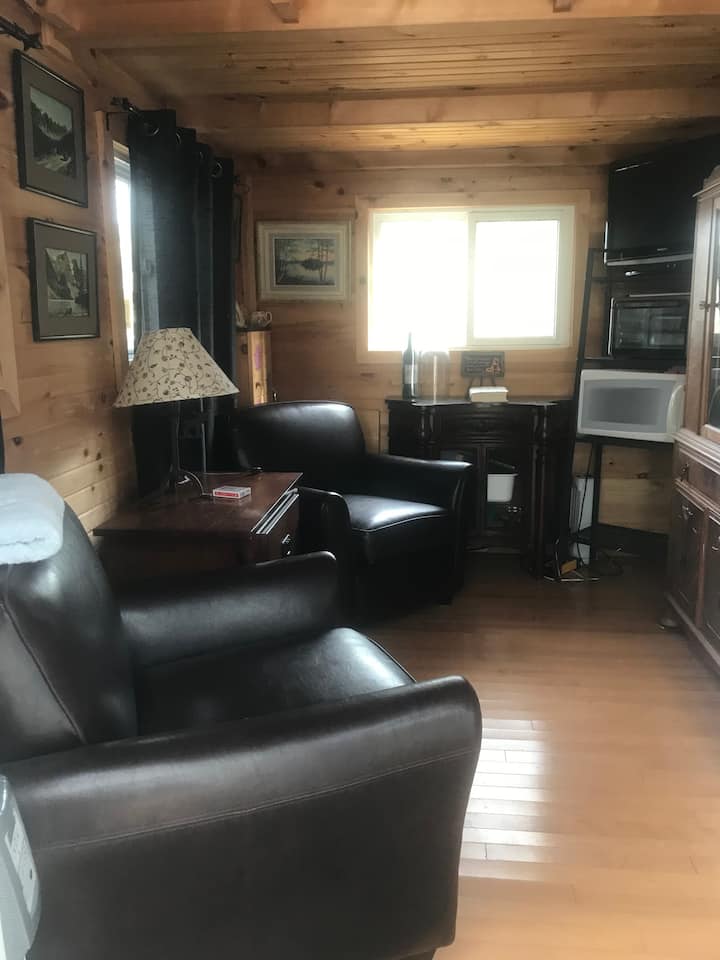 Top 6 Tiny Houses For Rent Near Beaverton, Canada Updated 2024 Trip101