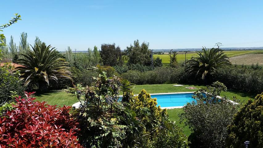Casa de Campo en Toledo "La Jaralera CountryHouse" Casas