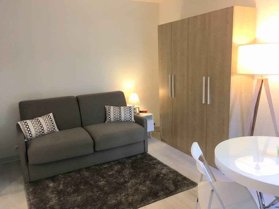 Canapé lit convertible (matelas 18 cm d'épaisseur, véritable lit) et armoire de rangement