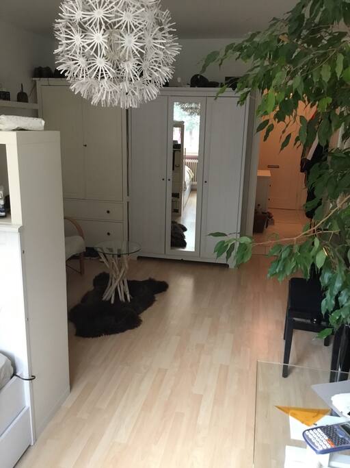 Living- and Bedroom