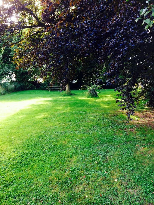 Jardin