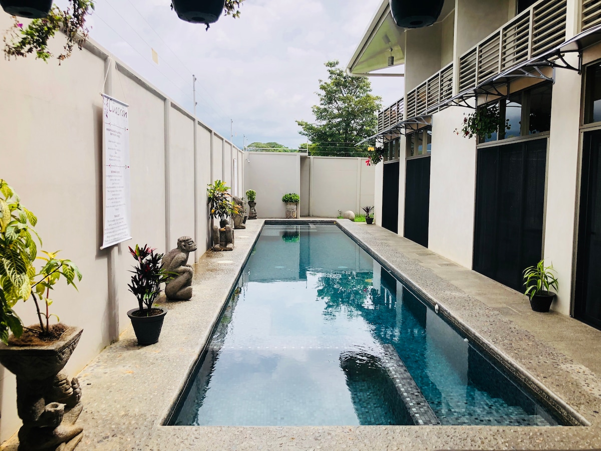 A rectangular swimming pool is surrounded by smooth stone tiles and greenery in pots. Planters with various plants line the sides, adding a touch of nature. The area is enclosed by walls, ensuring privacy and a tranquil atmosphere.