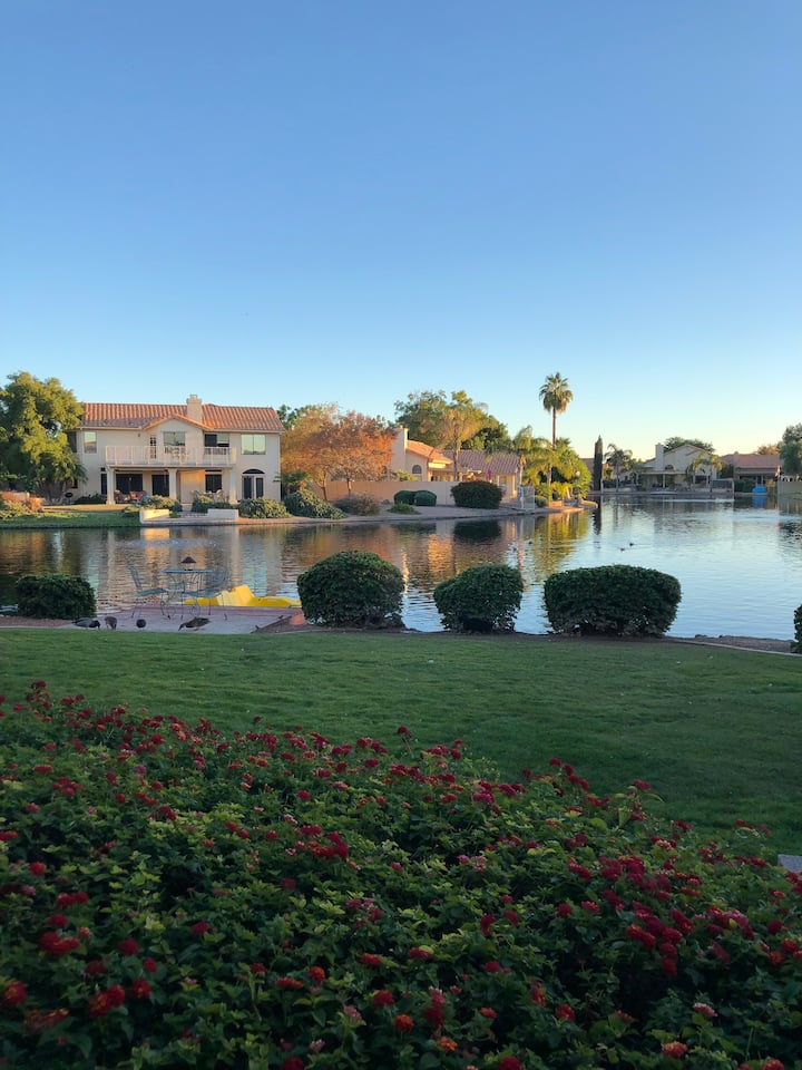 8 Amazing Airbnb Vacation Rentals In Gilbert, Arizona Trip101