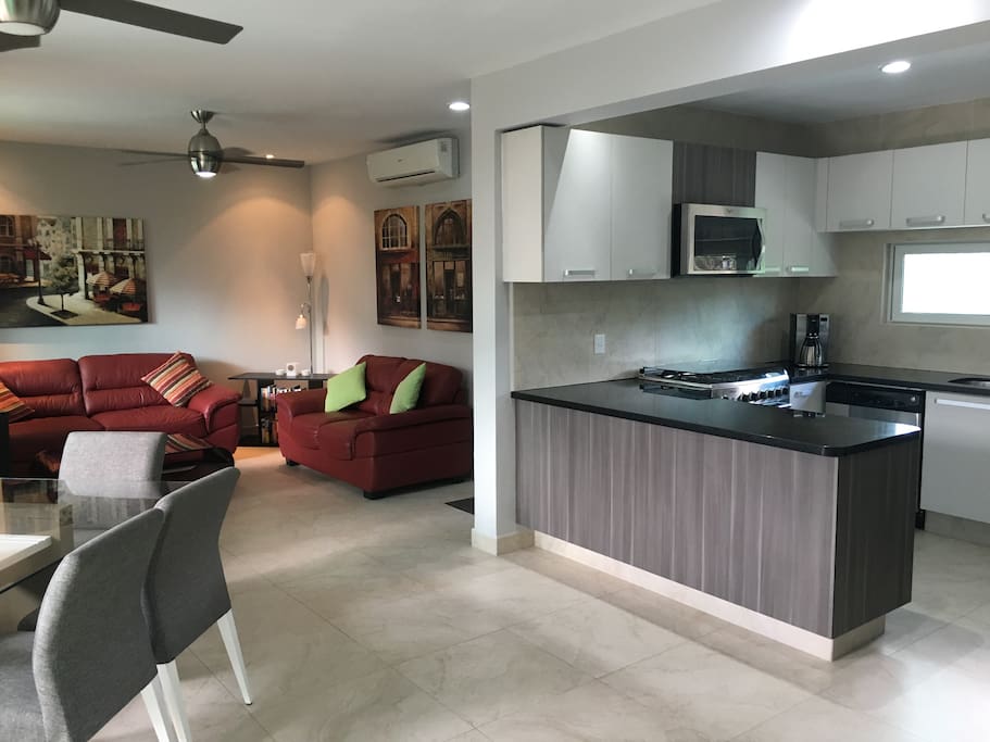 Kitchen and living room area