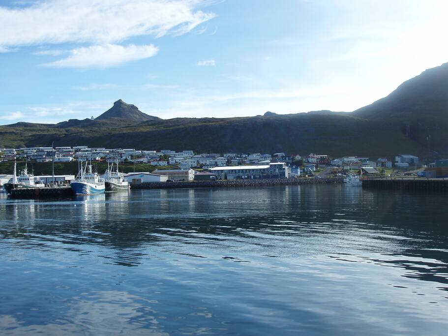 view from the harbor