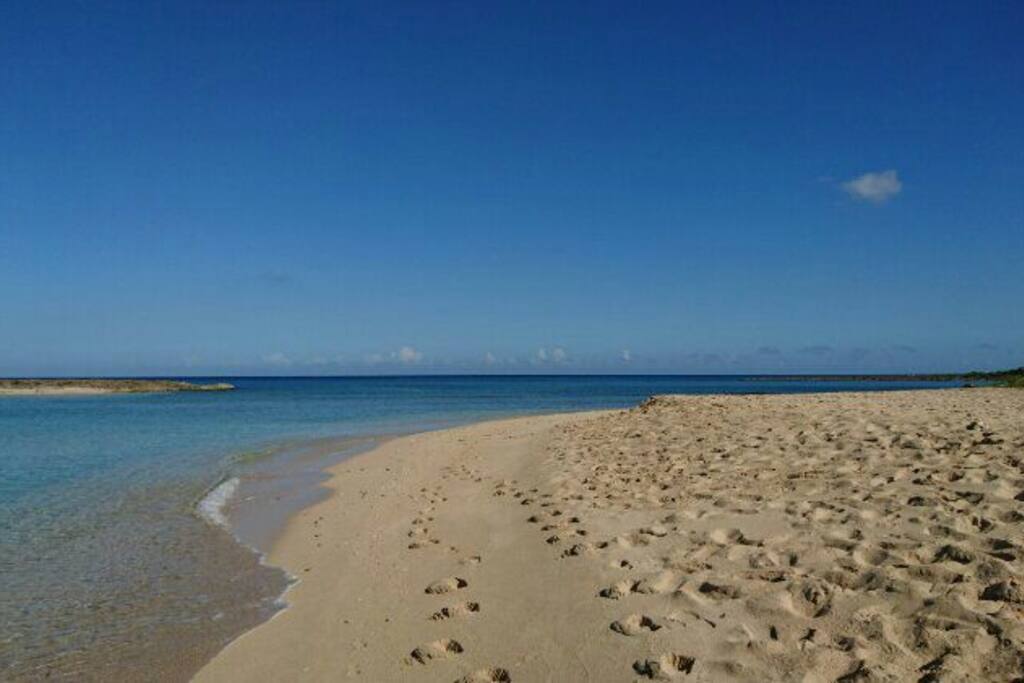 Local Beach