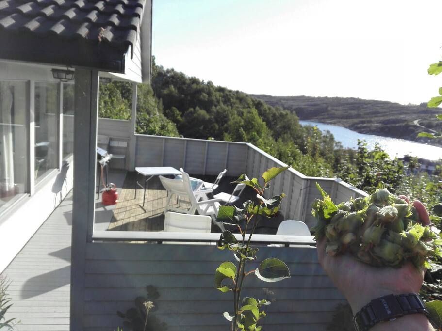 Terrasse, godt skjermet fra naboer
