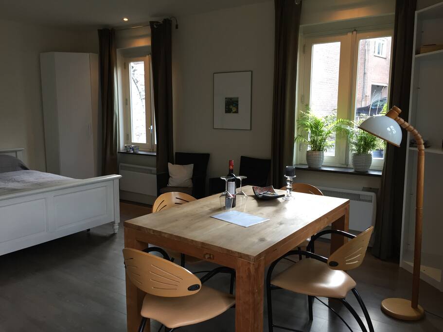 studio met leefruimte, tweepersoons bed en keukenblok