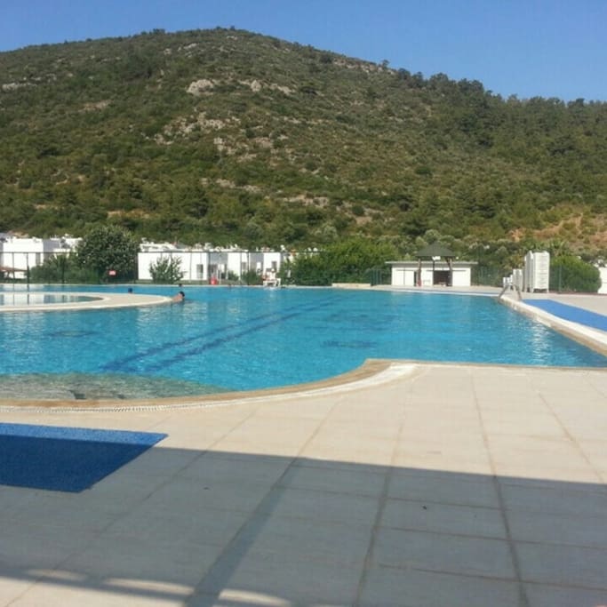 the swimming pool ıs 30 seconds away from the house