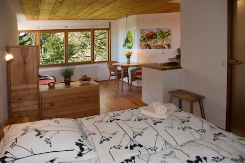 Birkensicht 2 in the Black Forest Vacation Apartment East