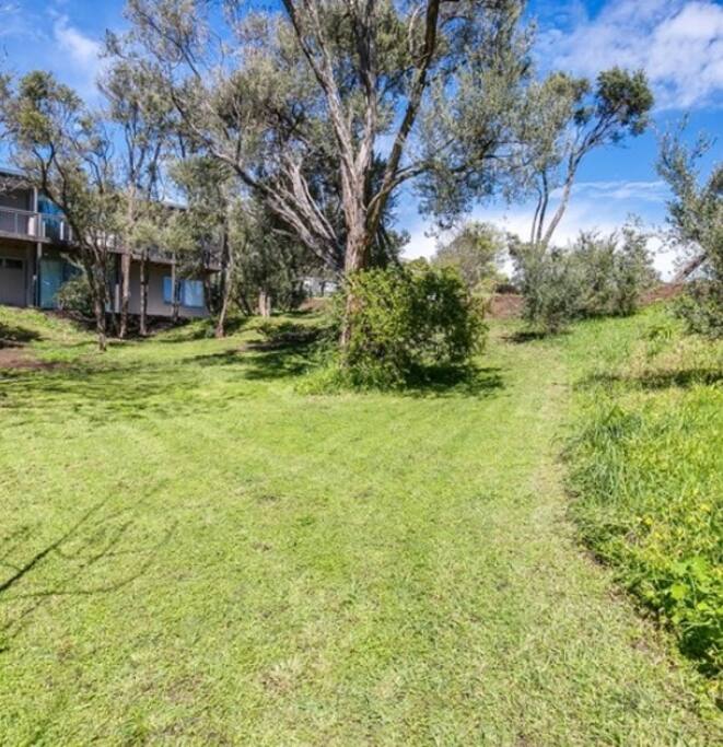 Back Garden