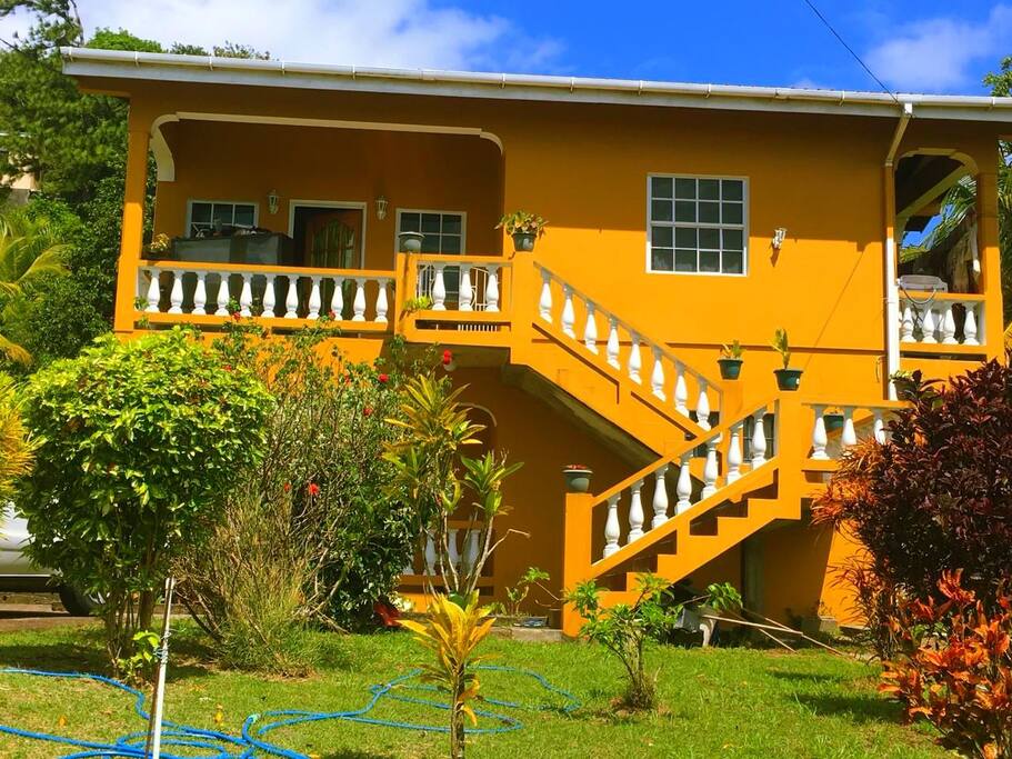 Sunny Yellow, Nature