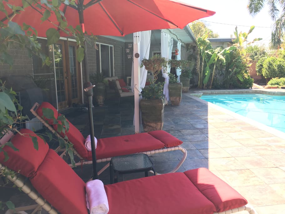 Large covered patio & pool