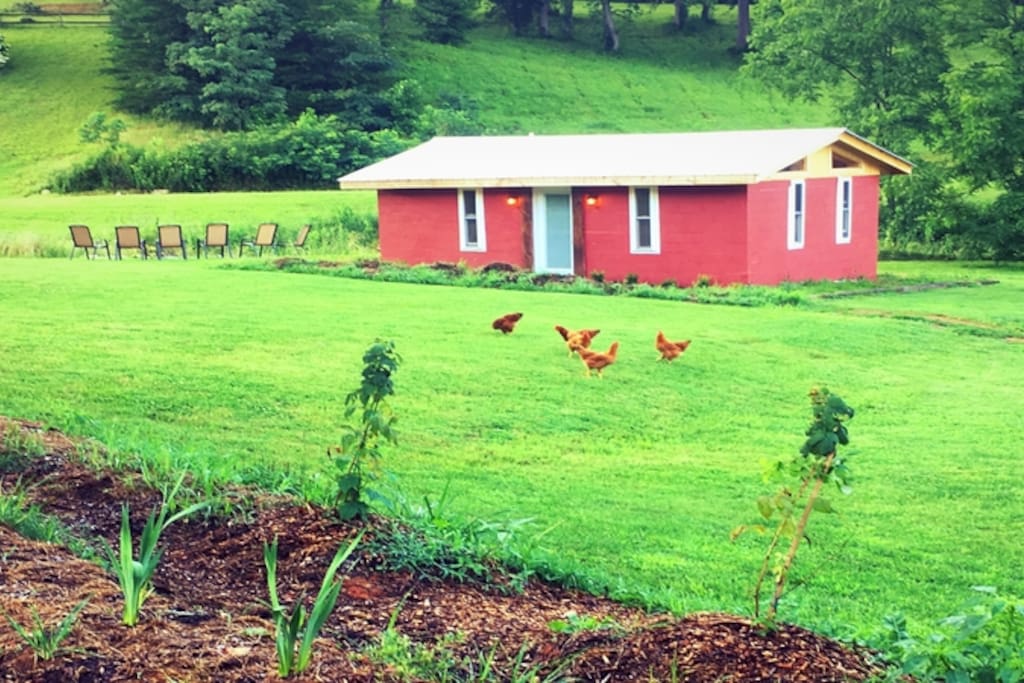 Exterior of cabin shows garden, free ranging chickens and firepit area.