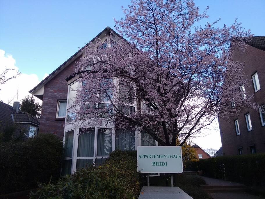 Vorderansicht Haus