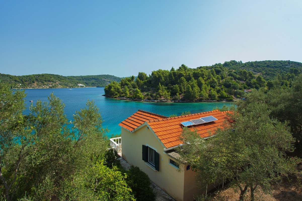 A seaside house with a terracotta roof is surrounded by olive trees, set against a backdrop of clear blue waters and lush greenery. The tranquil bay is visible, enhancing the serene ambiance of the location.