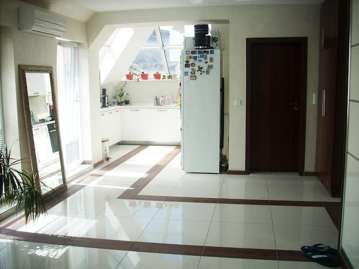 APARTMENT IN THE CITY CENTER