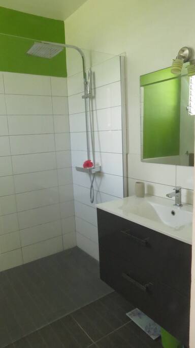 Salle de bain verte avec douche à l'italienne attenante à la chambre parentale.