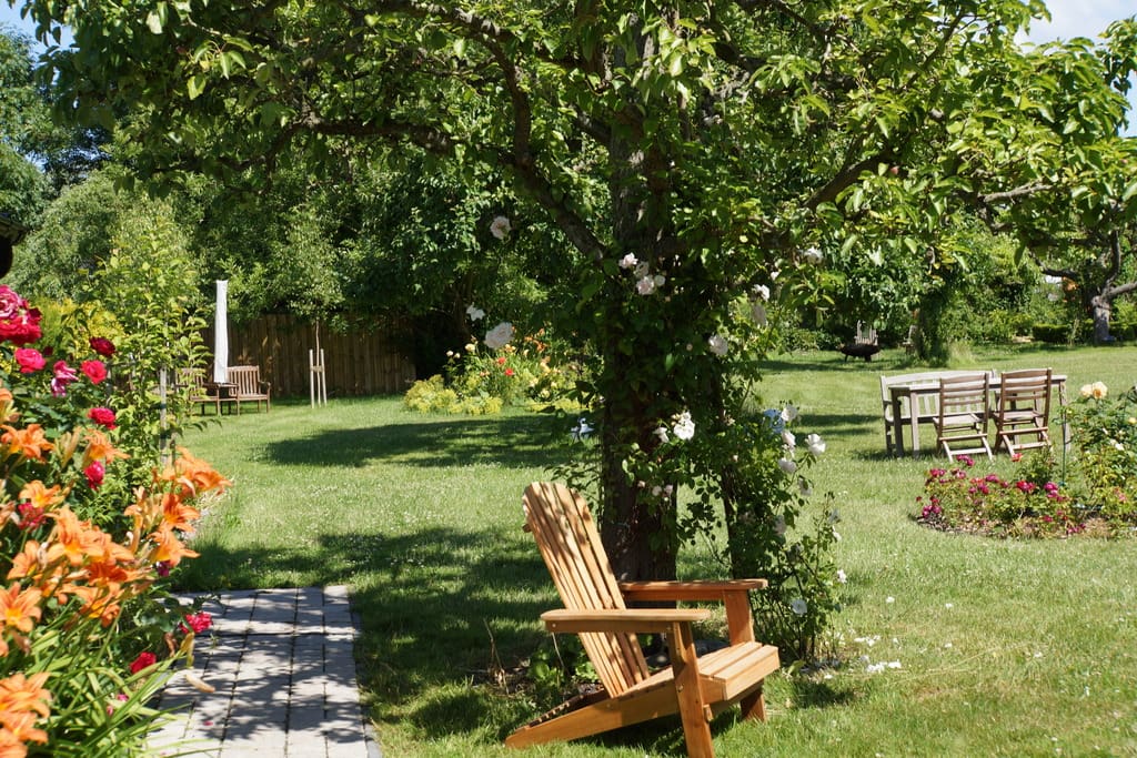 Blick in den Garten