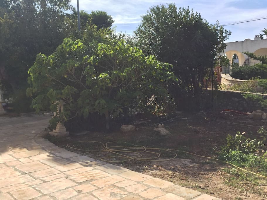 Giardino