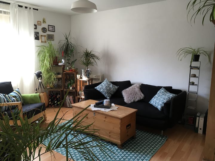 Mainz Vacation Rentals & Homes RhinelandPalatinate, Germany Airbnb